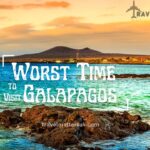 The Worst Time to Visit Galapagos
