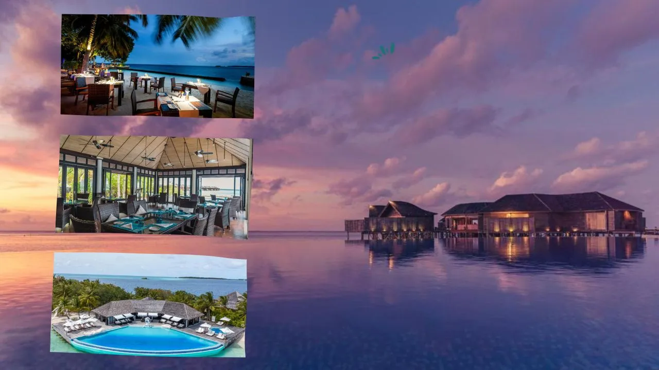 Lily Beach Resort Maldives